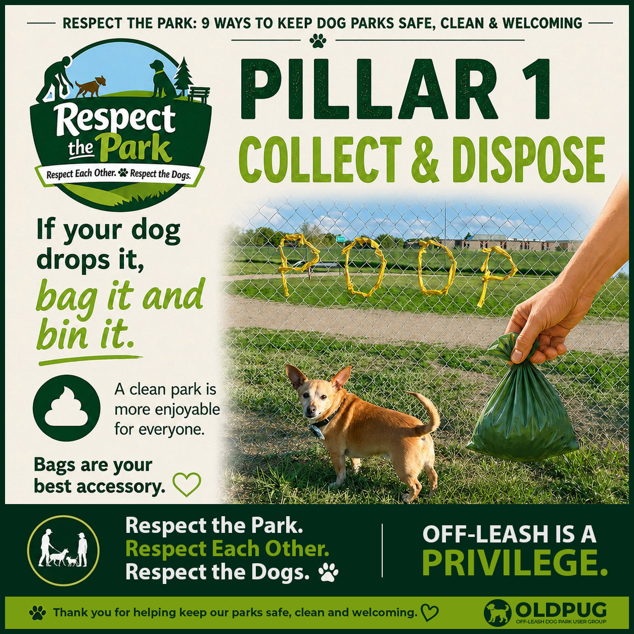 Respect the Park Pillar 1 poster: Collect and Dispose