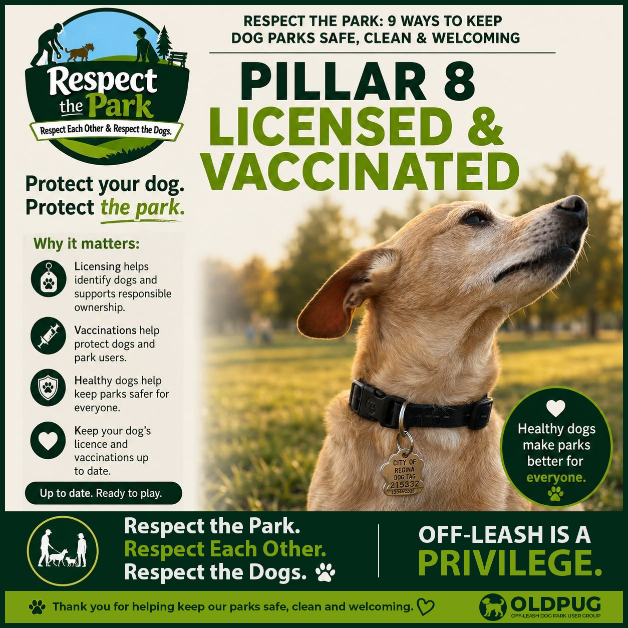 Respect the Park Pillar 8 poster: Licensed and Vaccinated