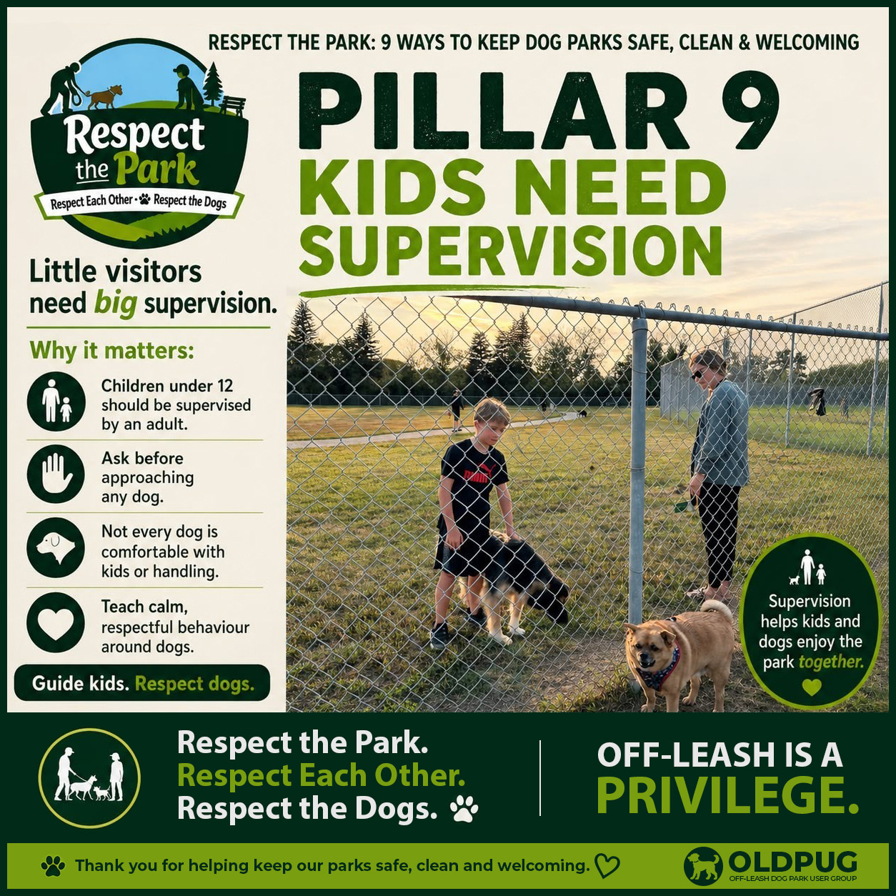 Respect the Park Pillar 9 poster: Kids Need Supervision